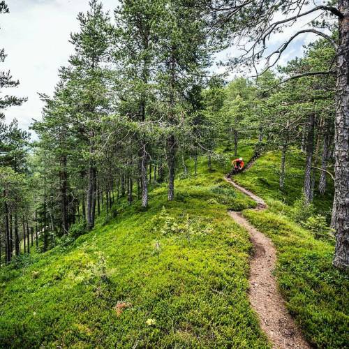 blog-pedalnorth-com:  @Regrann from @roofowler - @odub_23 and @mountainbikenomad on a tip top sectio