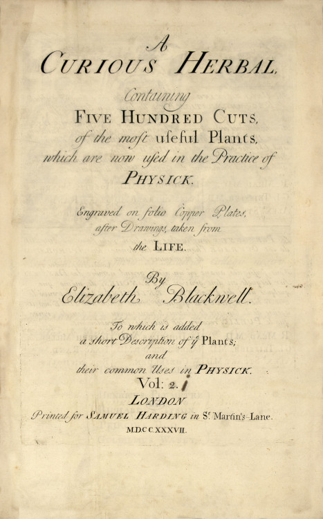 mucholderthen:  Elizabeth Blackwell1701-1785A Curious Herbal Notable both for its beautiful illustra