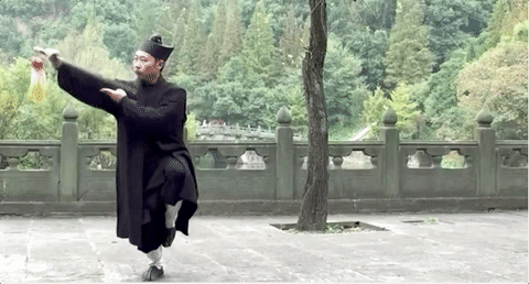 gabuwingchun:  Wudang Taiji Jian by Grandmaster Zhong Yun Long