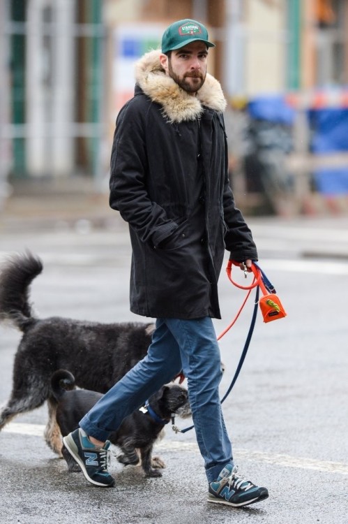 zacharysquinto:Zachary Quinto walking his dogs in New York City (December 10, 2014) [HQ]