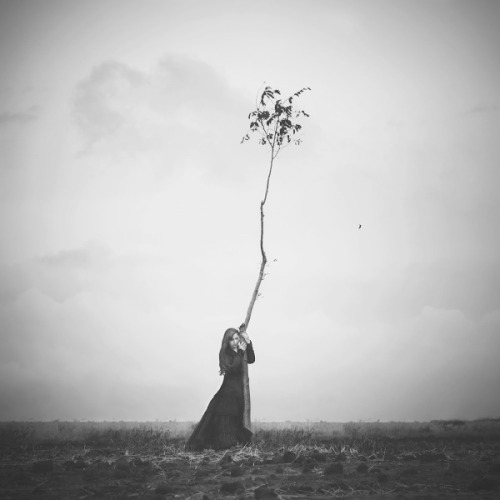 All we have&hellip; by LissuinSelfportrait with my new favourite tree