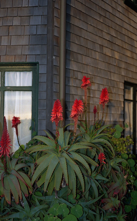outer sunset, san franciscojanuary 2018