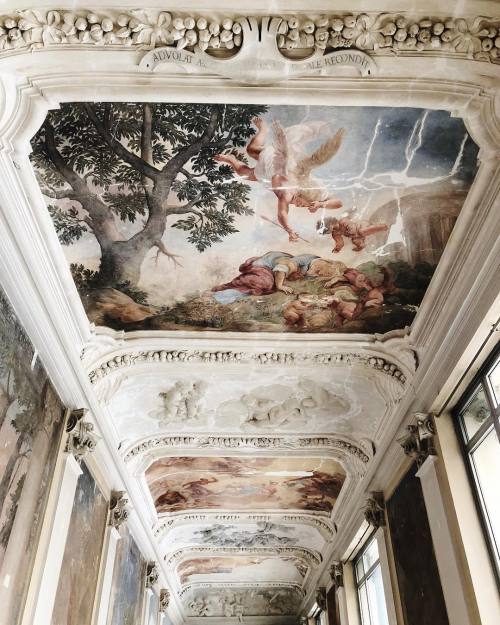 myfairylily:Wilanów Palace, Warsaw, Poland | louiseebelpandora 