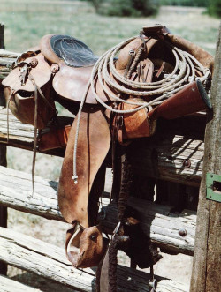 aheartfullofspirit:  COWBOY TACK by AZ CHAPS on Flickr. 