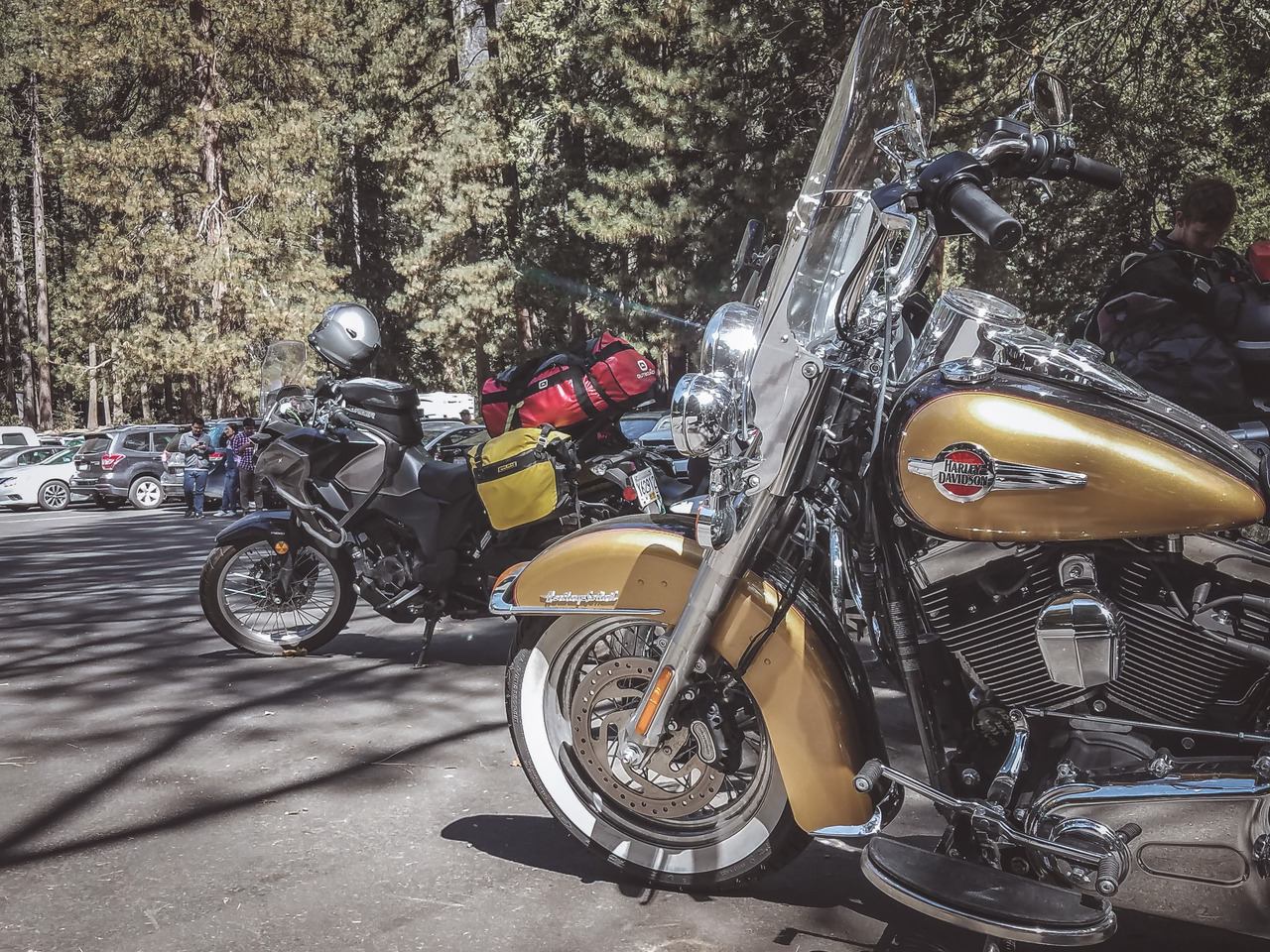 theriderwriter:  ON THE ROAD: Yosemite National Park, CA | 09.29.2018