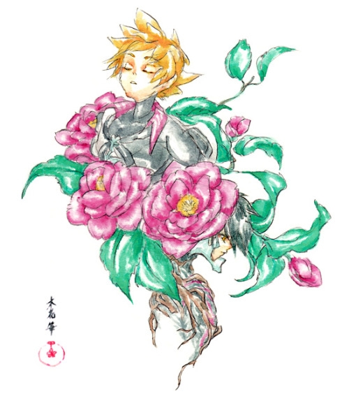 sui-sai