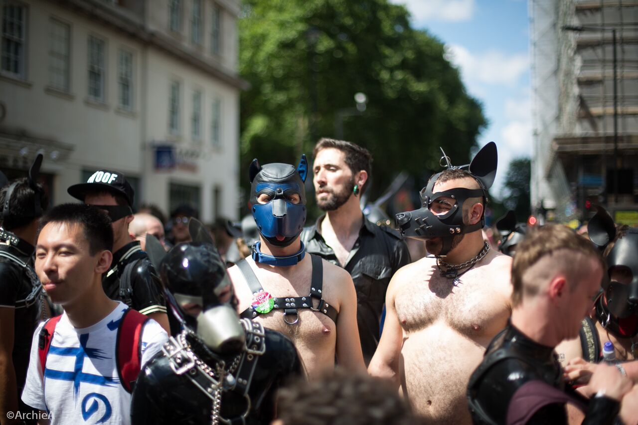 puppiesonladders:  Pups at London Pride 2015. photos by Archimedes Alpha (x2), Charles