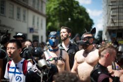 puppiesonladders:  Pups at London Pride 2015. photos by Archimedes Alpha (x2), Charles Edwards, Dave Watson, Don Blandford, esper, Jason, and katerina respectively.  