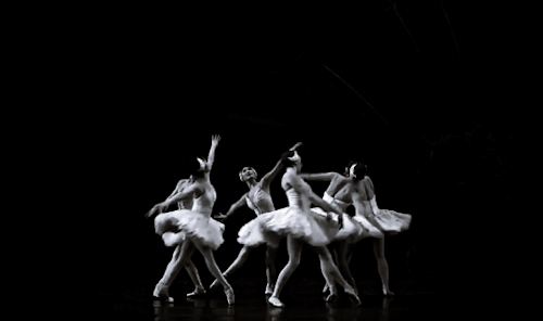 mariatallchief: The National Ballet of Canada’s Swan Lake (x)