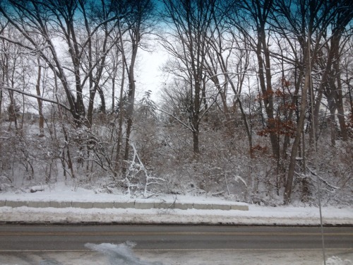 weird winter river and road crossing