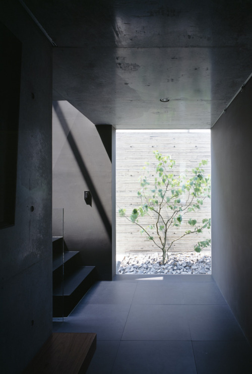 lukance:  Grigio | Similar posts at Lukance 
