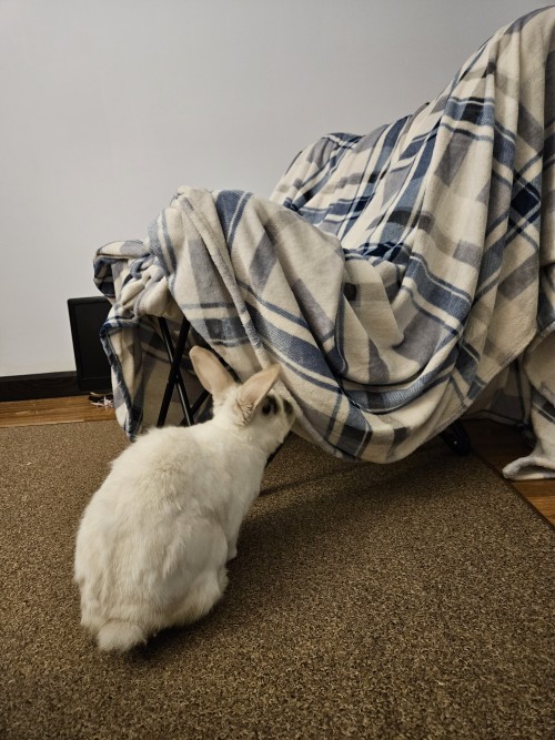 I Made Him A Tent