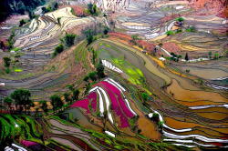 ponderation:  Rice Fields, Yuanyang, Southwest China by Thierry Bornier 