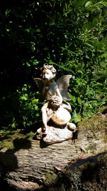 pixie-witch: from the memorial garden at Clowance. Photo by me. 