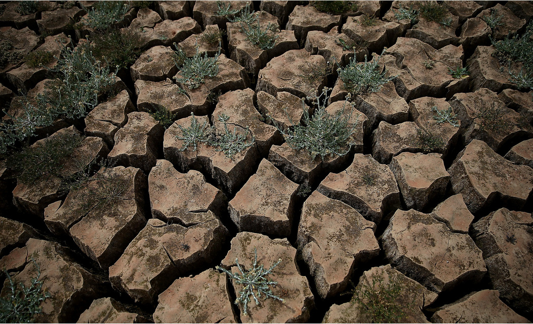 California Imposes First Mandatory Water Restrictions to Deal With Drought (Photo by Justin Sullivan/Getty Images via NYT)