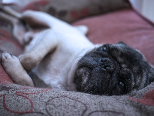 Wake me up when the weekend gets here…