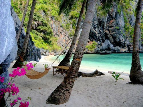 tropicri:  Tropical Blog ☯ 