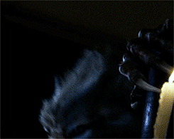 timelords-sherlock-andmusic:  cumberchameleon:  Superwholock Dean is always the first