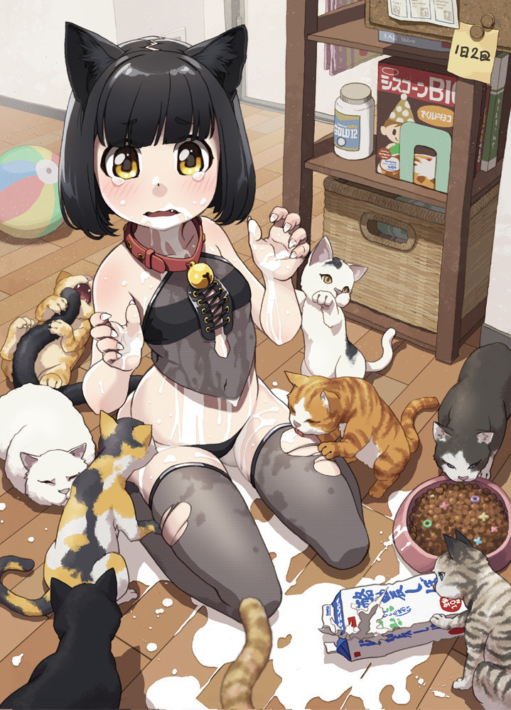 kokonoe-df:  ２次エロ画像専門館 【50枚】獣耳とかしっぽがある、獣っ娘のエロ画像下さい！