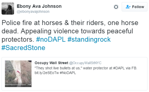 bellygangstaboo: This is happening in America & no-one seems to give a shit. #outraged #NoDAPL #