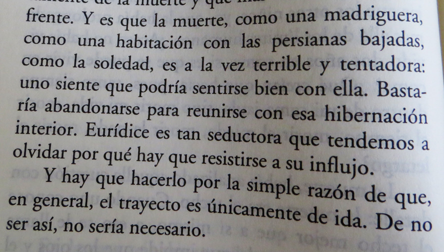 hachedesilencio:  Metafísica de los tubos / Amélie Nothomb