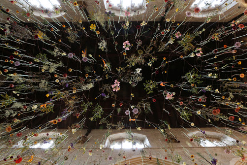 Porn Pics aubreyblythe:  Rebecca Louise Law | The Flower