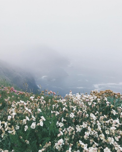 myend-ismybeginning:Source.