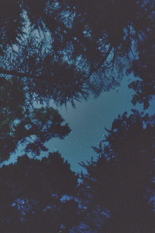 http://cherubesque.tumblr.com/post/82369811256