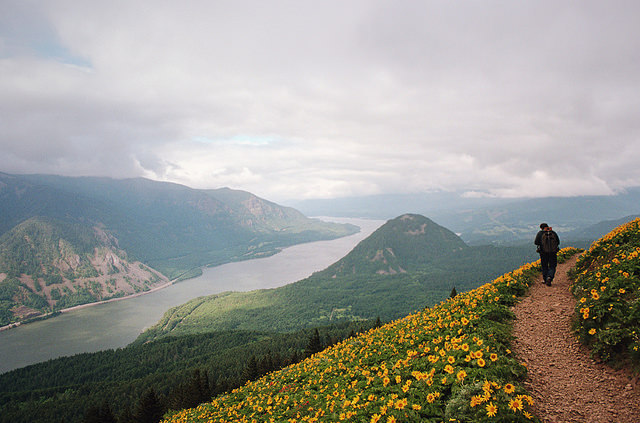 melepeta:  days like these by manyfires on Flickr.