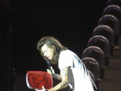 Harry on stage in Baltimore! (August 8 2015)