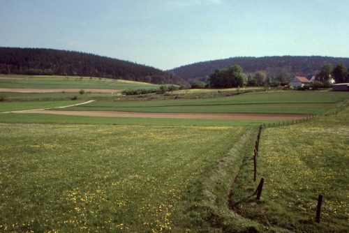 Frühling in Niedersachsen bei Soltau, 1981.