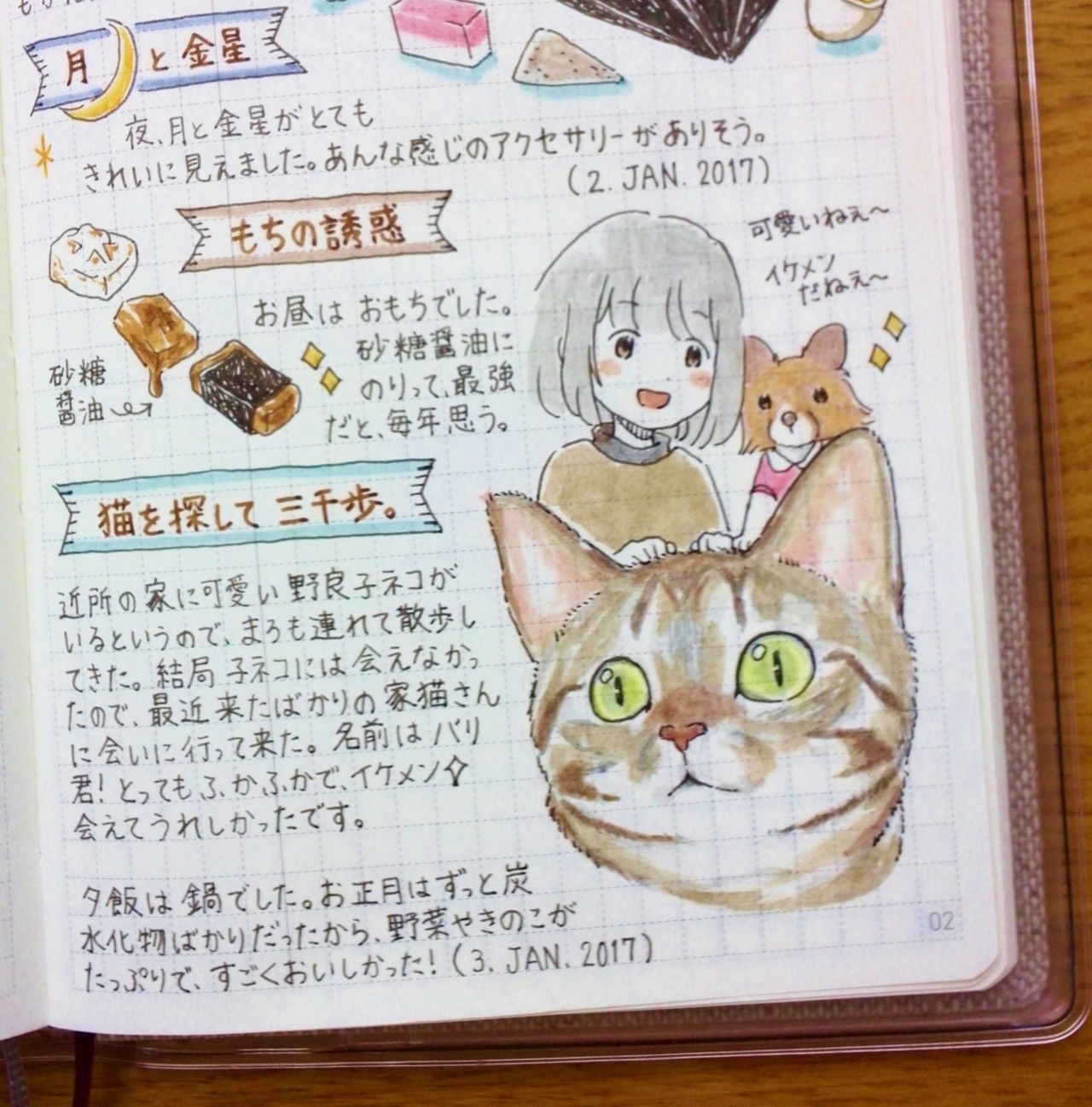 みけいぬ日記 もちと猫 17 1 3 可愛い猫 バリ君に会いに行ってきました 比較的かっこよく描けました みけいぬ日記 もちと猫 17 1 3 可愛い猫 バリ君に会いに行ってきました 比較的かっこよく描けました