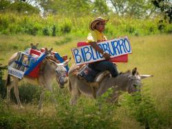 rockpapertheodore: libraryadvocates:  Yesterday I said that bookmobiles are an instant reblog. Today, I learned that rule also applies to book donkeys.  BIBLIOBURRO 