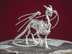 mythicarticulations:  Dragon skeleton. It’s like a wyvern, but with more legs and pointy bits.Available in our Etsy shop.