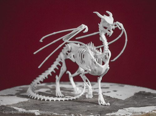 Sex mythicarticulations:  Dragon skeleton. It’s pictures