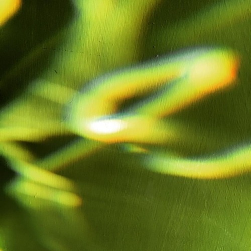 #spectralphotography
