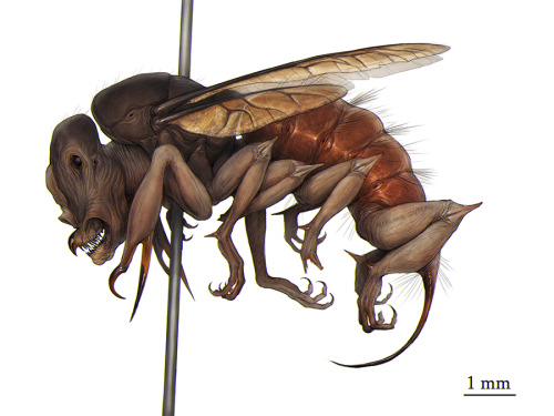 hydraart:That damn fly, always laying eggs on the pizza…