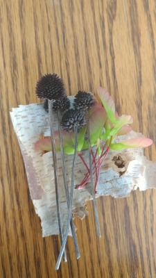 Black eyed susan seed pods with maple tree seeds wrapped in birch bark