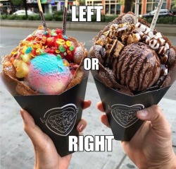 burlybanner: food-porn-diary: Left or Right, Vanilla caramel ice cream or Chocolate Hersheys ice cream[960x916] 