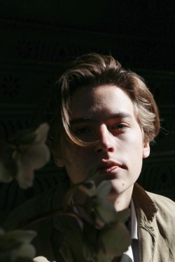 joshtillman:  flowinguniverse:  Wow okay, not fair   This is turning into a sprouse fan blog