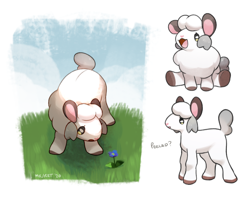 mcpippins:thimking about…………………………wooloo baby evolution