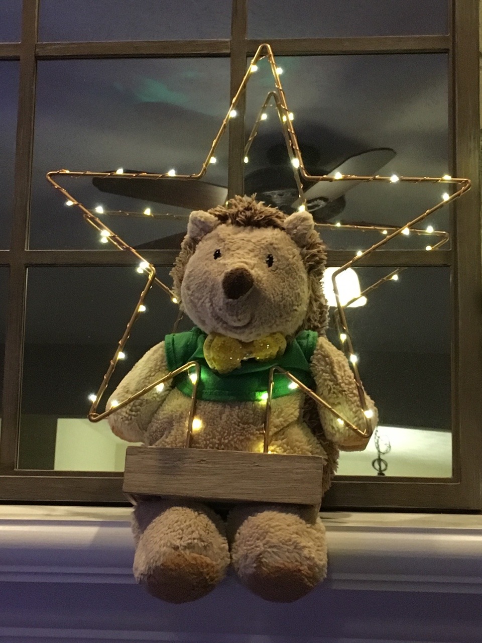 stuffiesgalore:  Hedgie is a star!!!!!!! :)