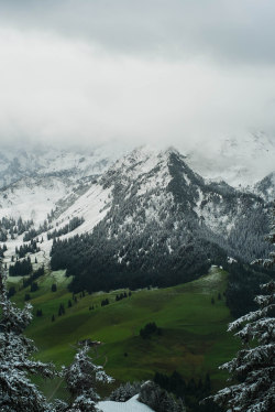 anotic:  Swiss Alps  |  kelvs 