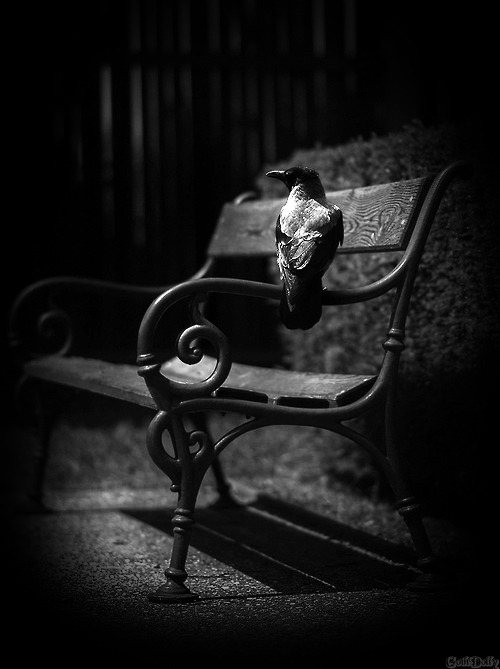 gothdollysedits:   Sunny Places  Otto Hütter☠*.¸¸. ✶ ☠ *♪ ♫ 