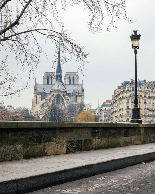 lilyadoreparis - Notre-Dame de Paris by aya.lulu
