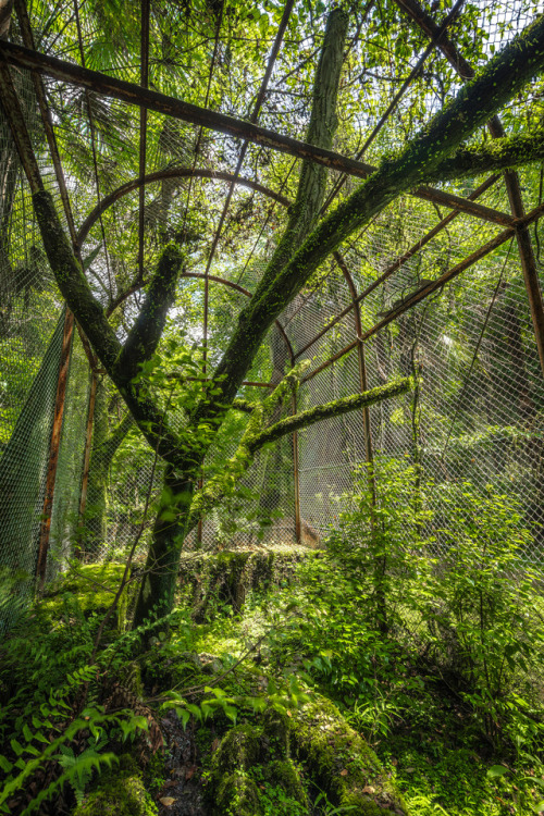 On the banks of the brook… Ⅱ