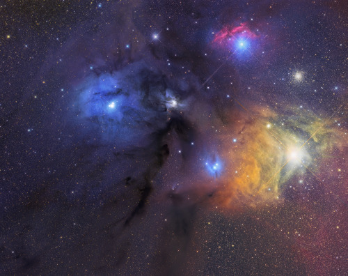 Sex the-science-llama:  Reflection and Emission Nebulas— pictures