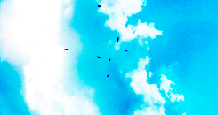 danielsharmss-deactivated201409:  hitchhikers may be escaping inmates. 