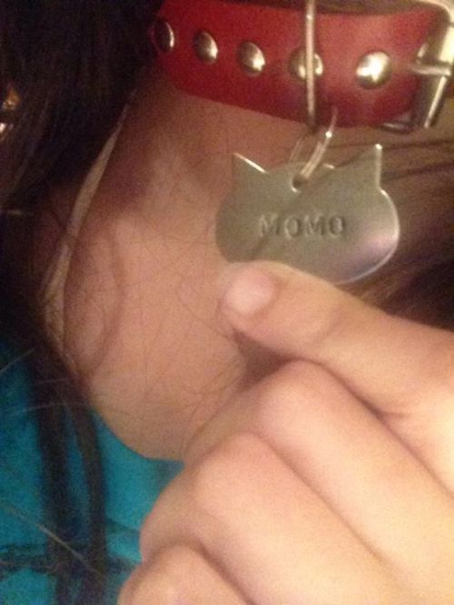 About a couple weeks ago, I’ve started a pet/Owner relationship and this is the cutest thing someone ever gave to me… A kitty red-collar and a pet tag with my nickname on it! 