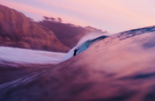 sex–wax:  Photo by James Tull 